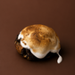 Campfire cookie