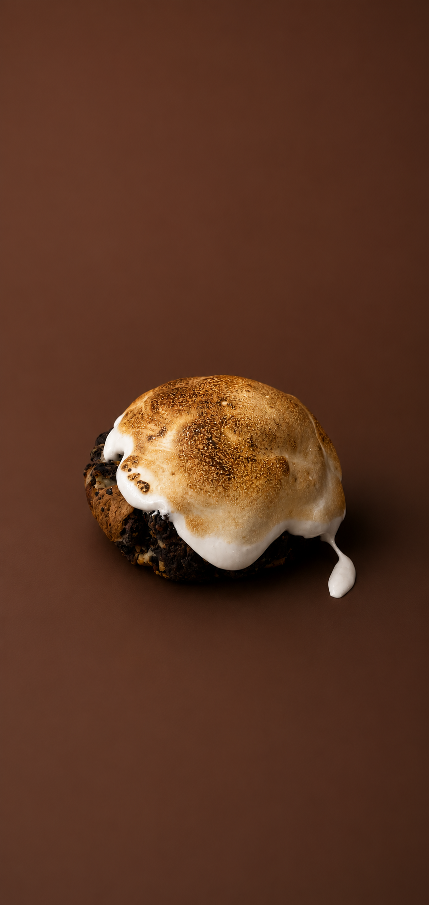 Campfire cookie